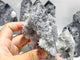 5 Pieces Black Clear Quartz Cluster Raw Side Tower