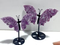 2 Pairs Lepidolite Butterfly Wing Carving With Stand