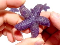 Beautiful Unicorn Stone Starfish Carving Wholesale
