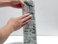 Unique Large Geode Druzy White Moss Agate Point #A02