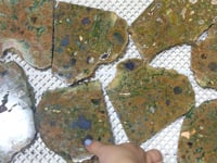 8 Pieces Peacock Eye Rain Forest Jasper Slab