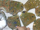 8 Pieces Peacock Eye Rain Forest Jasper Slab
