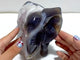 Beautiful Geode Agate Druzy Elephant Animal Carving #A02