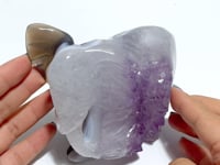 Unique Amethyst Mixed Geode Agate Druzy Elephant Animal Carving #A08