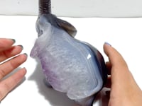 Unique Amethyst Mixed Geode Druzy Agate Elephant Animal Carving #A18