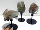 3 Pieces Garden Quartz Free Form With Stand