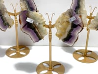 3 Pairs Fluorite Mixed Pyrite Butterfly Wing With Stand #6