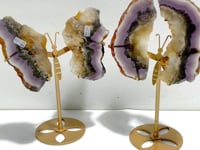 2 Pairs Fluorite Mixed Pyrite Butterfly Wing With Stand #8