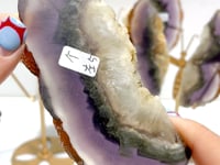 3 Pairs Fluorite Mixed Pyrite Butterfly Wing With Stand #7