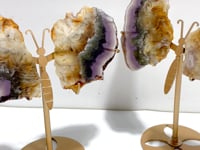 2 Pairs Fluorite Mixed Pyrite Butterfly Wing With Stand #2