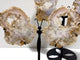 2 Pairs Geode Druzy Sakura Flower Agate Butterfly Wing With Stand