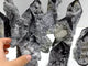 11 Pieces Black Clear Quartz Cluster Raw Side Point Tower