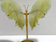 Unique Prehnite Butterfly Wing Carving With Stand