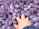 1.2-2In Amethyst Tumbled Wholesale