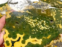 6 Pieces Large 8th Vein Ocean Jasper Slabs