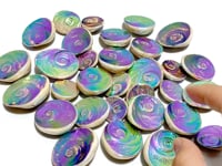 Aura Shell Fossil Wholesale