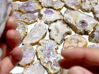 33 Pieces Sakura Flower Agate Slab