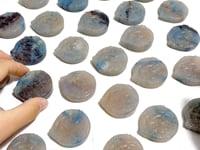 26 Pieces Trolleite Stone Deer Carving Clearance