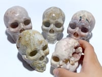 5 Pieces Sakura Agate Skull Carving Clearance