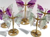 5 Pairs Rainbow Fluorite Symmetry Small Butterfly Wing With Stand