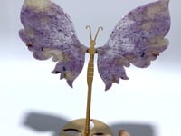 Unique Unicorn Stone Butterfly Wing Carving With Stand