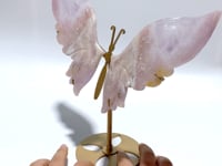 Unique Sakura Flower Agate Butterfly Wing Carving With Stand