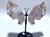 Unique Sakura Flower Agate Butterfly Wing Carving With Stand