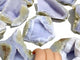 10 Pieces Geode Blue Chalcedony Druzy