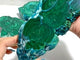 3 Pieces High Quality Beautiful Chrysocolla Mixed Malachite Slab Specimen #8