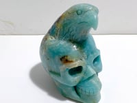 Unique Caribbean Calcite Skull Eagle Carving