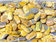 Bumblebee Jasper Palm Wholesale