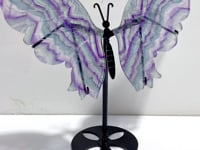 Symmetry Fluorite Butterfly Wing With Stand