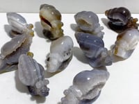 10 Pieces Geode Druzy Agate Snail Carving