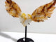 Unique Golden Hematoid Quartz Fire Quartz Heart Wing Carving With Stand