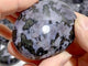 Indigo Gabbro Stone Palm Wholesale