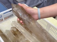 13 Pieces Large Smoky Quartz Tower (Sea Freight Only)