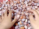 Polished Pink Agate Tumbled Wholesale