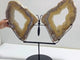Very Large Beautiful Geode Druzy Sakura Flower Agate Butterfly Wing Carving With Stand #3 (Sea Freight Only)