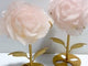 2 Pieces Rose Quartz Flower Carving With Stand