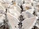 Clear Quartz Cluster Butterfly Wing With Stand Wholesale