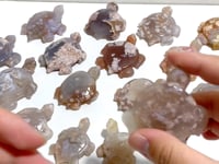 17 Pieces Sakura Flower Agate Sea Turtle Carving
