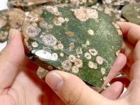 13 Pieces Large Rainforest Jasper Heart #3
