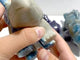 4 Pieces Trolleite Stone Triceratops Three-horned Dinosaur Carving
