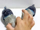 2 Pieces Trolleite Triceratops Three-horned Dinosaur Carving