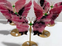 Rhodonite Mixed Quartz Butterfly Wing With Stand Wholesale (No.19-23)