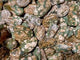 Rainforest Jasper Palm Stone Wholesale