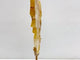 Hematoid Quartz Golden Fire Quartz Flying Dragon Carving With Stand