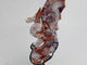 Morocco Agate Flying Dragon Carving With Stand