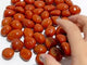 Red Jasper Tumbled Polished Wholesale