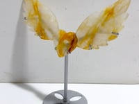 Golden Hematoid Quartz Heart Wing Carving With Stand Fire Quartz